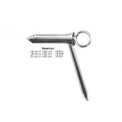 Intestines, Stomach, Rectum